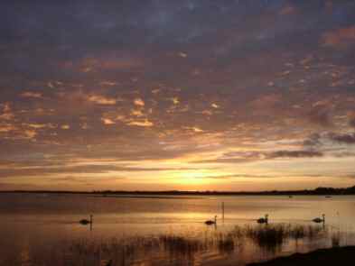 ladys island lake pilgramage mass august church patron  blessings  our lady  swans sunset wexford  dontpanic media ix4+1 media